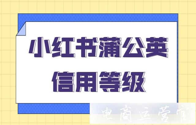 蒲公英信用等级是什么?小红书博主的信用等级这么计算?
